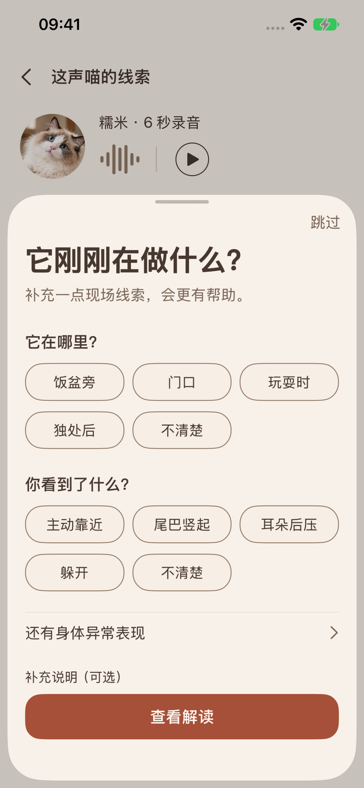 补充现场线索：记录猫咪所在位置与看到的行为