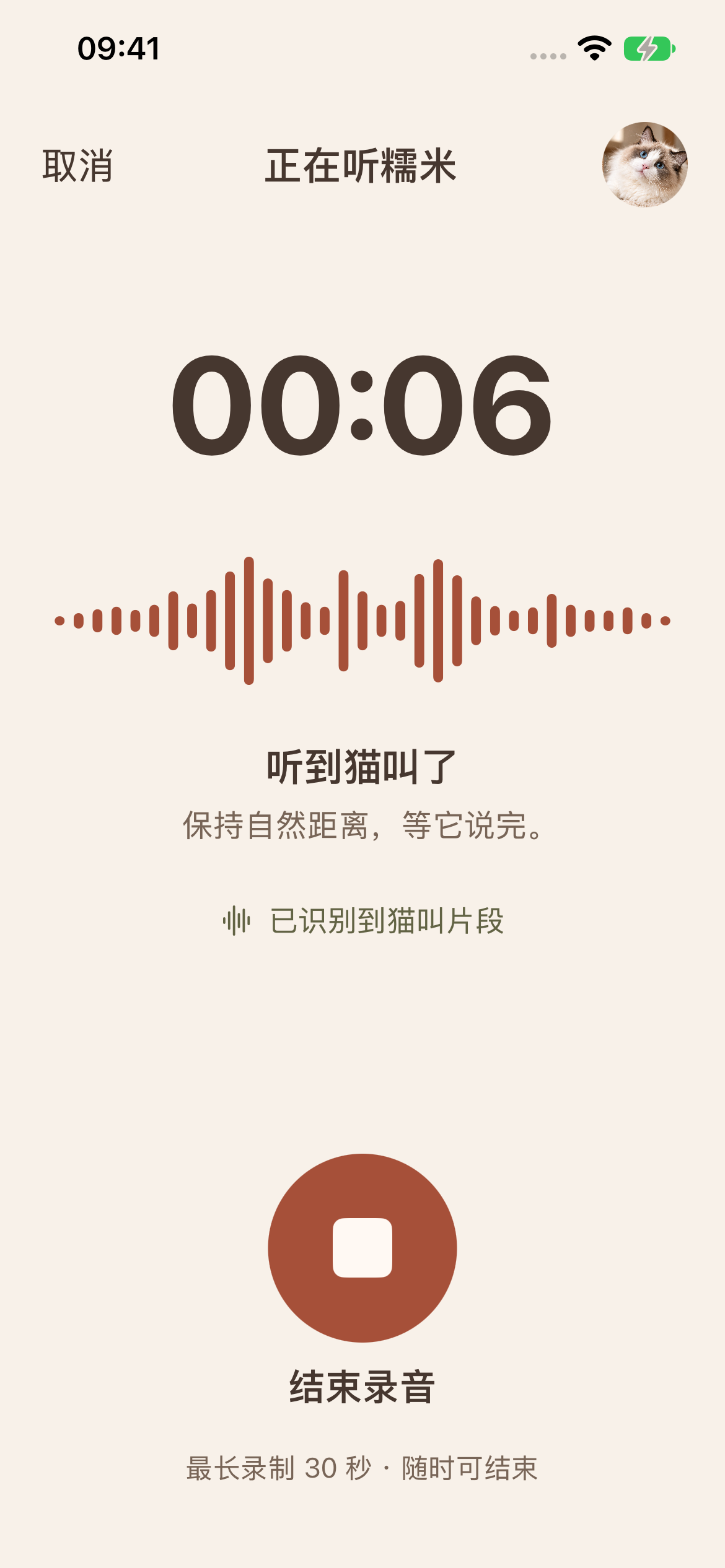 喵懂录音界面的示例状态
